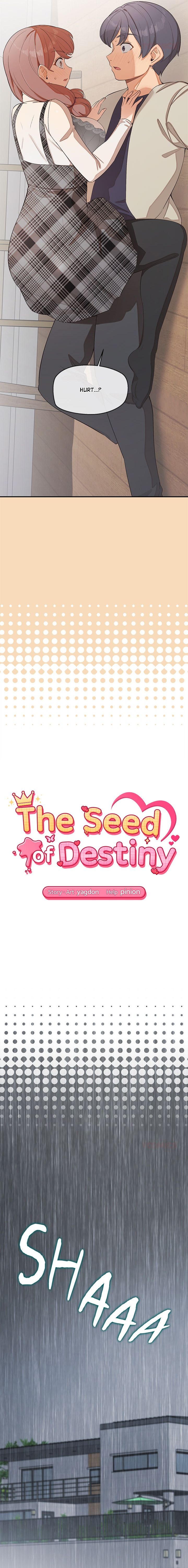 The Seed of Destiny - Chapter 26 Page 2
