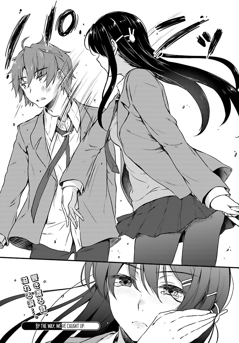 Seishun Buta Yarou wa Bunny Girl Senpai no Yume wo Minai - Chapter 8 Page 18