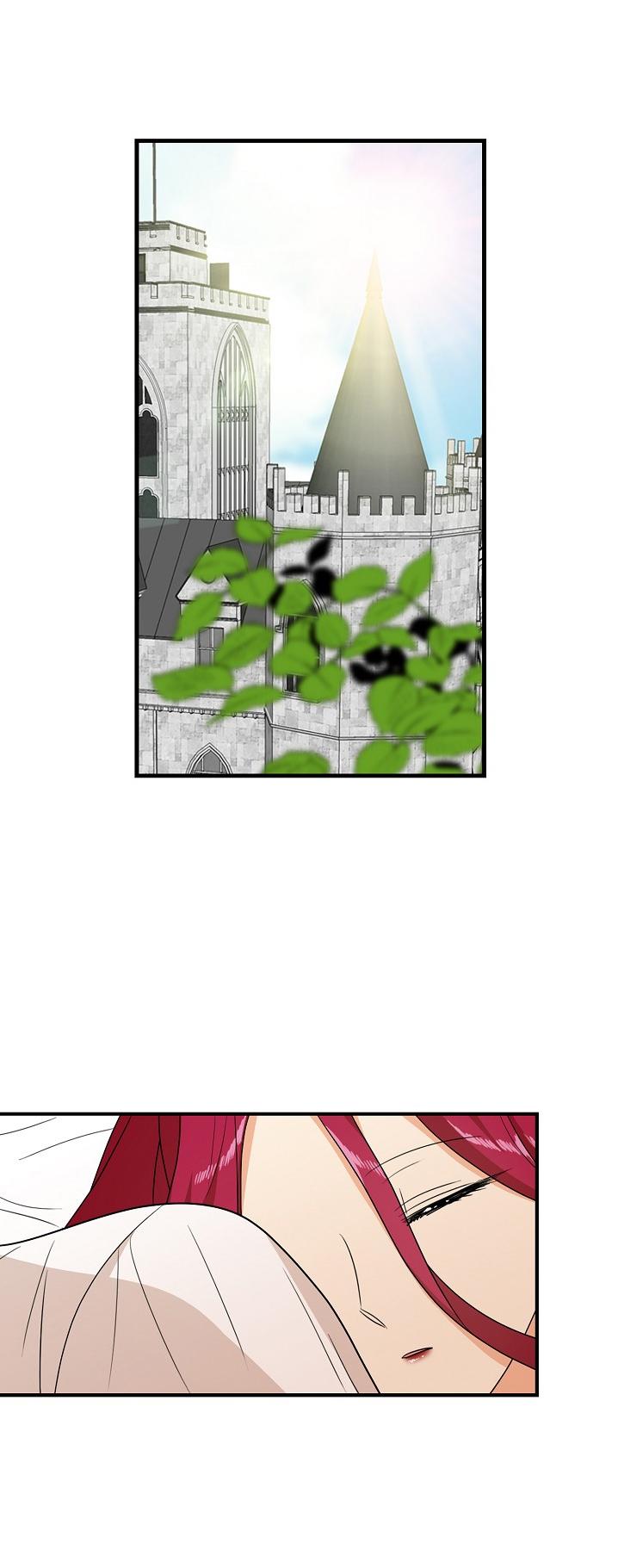 I Became the Villain