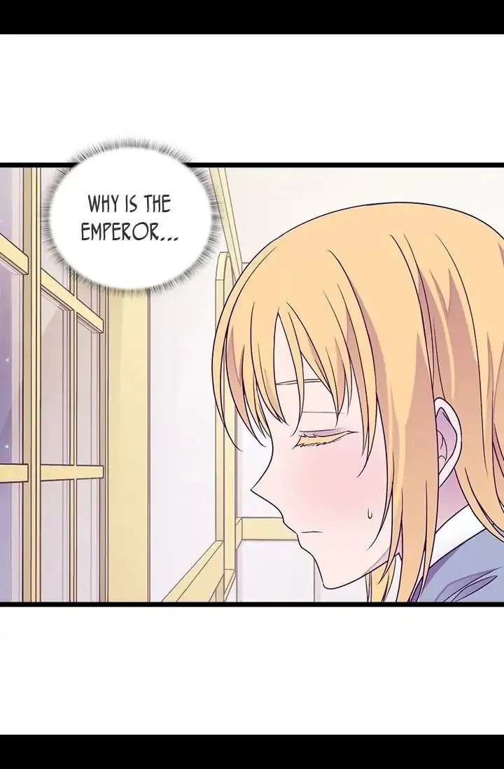 They Say I Was Born A King