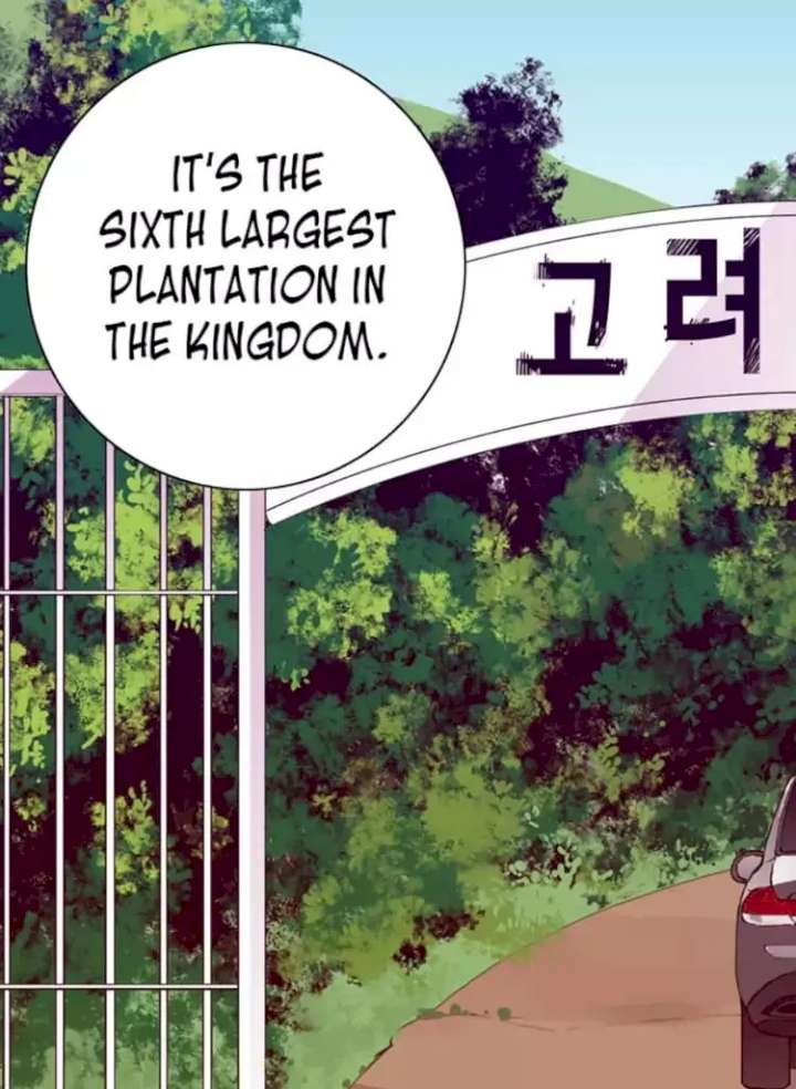 They Say I Was Born A King