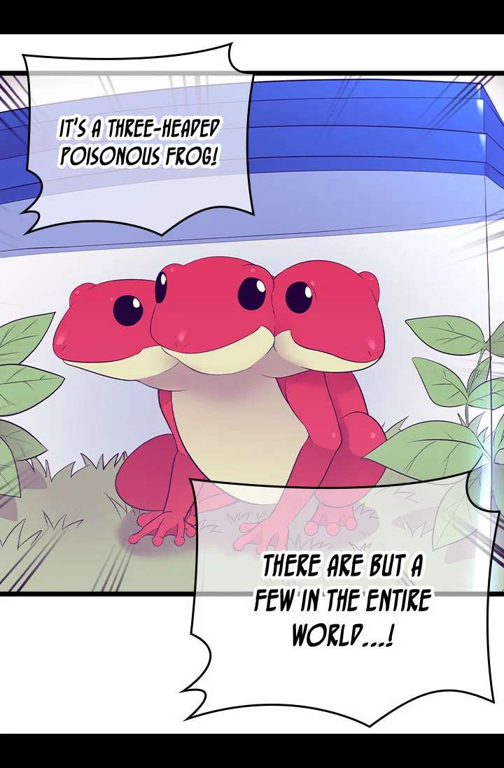 They Say I Was Born A King