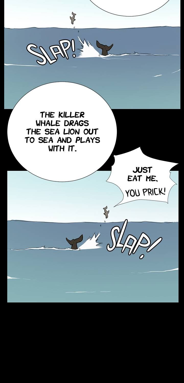 Backstreet Rookie (She