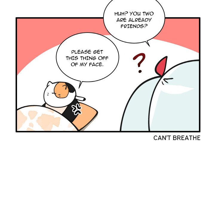 The Amazing Siblings - Chapter 165 Page 14