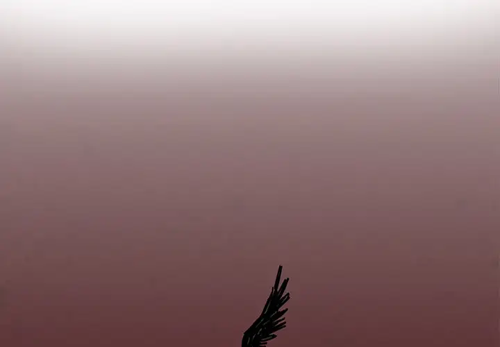 Goran - Chapter 0 Page 2